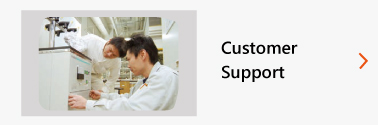 Customer support