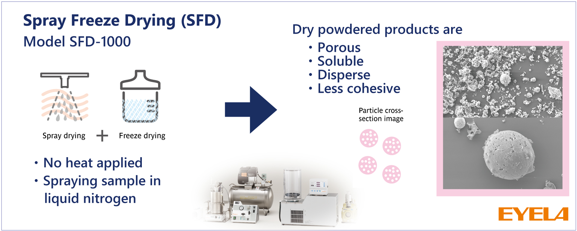 Spray Freeze Drying particles powdered products spraying liquid nitrogen porous soluble disperse less cohesive